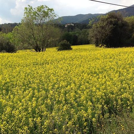 Casa Rural Can Panxa Sant Pere de Vilamajor Bagian luar foto