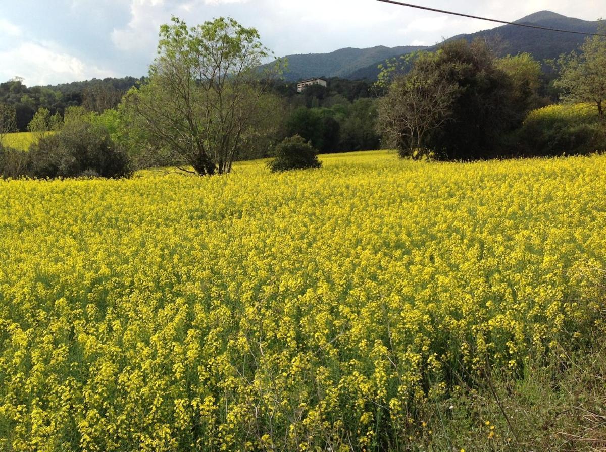 Casa Rural Can Panxa Sant Pere de Vilamajor Bagian luar foto